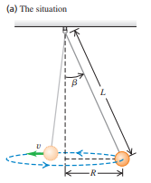 [SOLVED] In the conical pendulum of Example 5. | Course Eagle