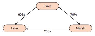 The affiliation structure for Place Corporation and its affiliates is as follows:


During 2016 the separate incomes of the affiliates were as follows:

Place.......................... $400,000
Lake............................ $160,000
Marsh......................... $140,000

Lake’s income includes $40,000 unrealized profit on land sold to Marsh during 2016.

REQUIRED:
Prepare a schedule that shows the allocation of income among the affiliates and also shows controlling and noncontrolling interest shares of consolidated net income for 2016.

