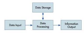 The data processing cycle in Figure 2-1 is an example of a basic process found throughout nature. Relate the basic input/process/store/output model to the functions of the human body.

